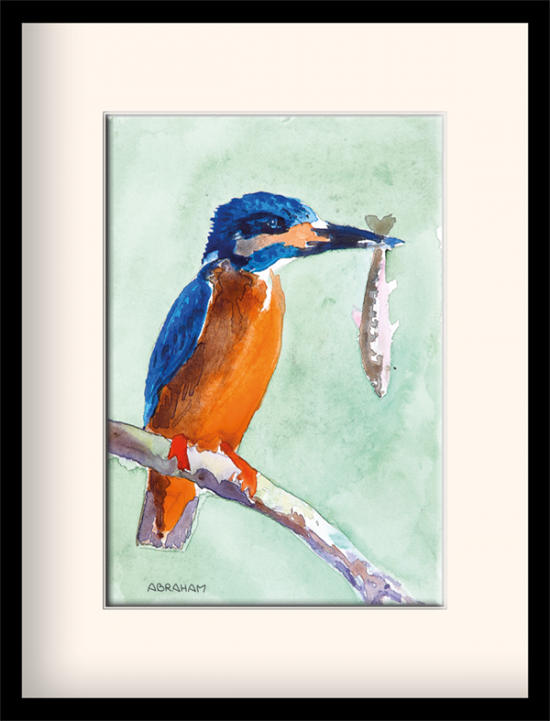 Kingfisher