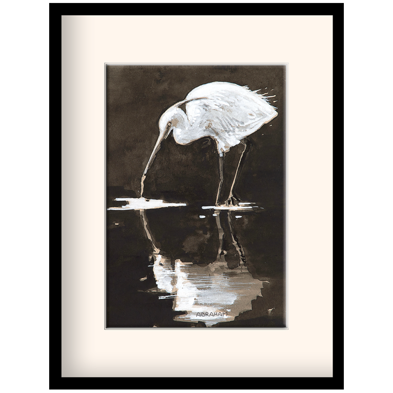 Aigrette garzette