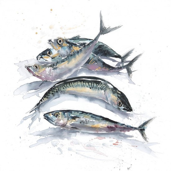 Line mackerel