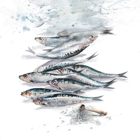 Sardines with salt from the island of Ré